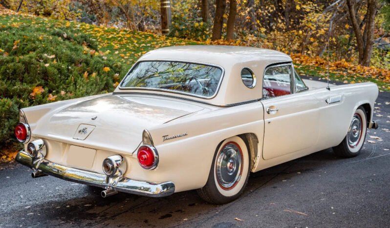 
								1955 Ford Thunderbird White full									