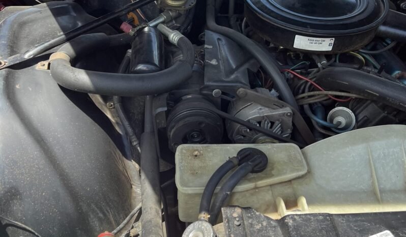 
								1975 Buick LeSabre Custom V8 full									