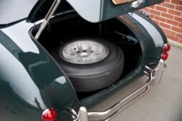 1966 Shelby Cobra V8