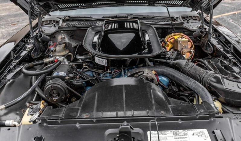 
								1976 Pontiac Firebird Trans AM Y82 full									