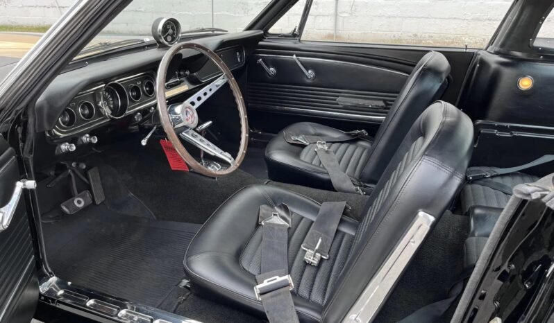 
								1966 Shelby Mustang GT350H 3-Speed full									