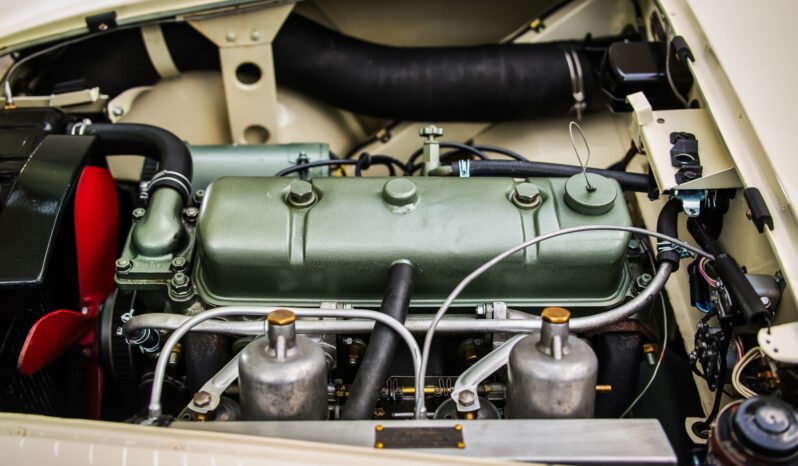 
								1956 Austin-Healey BN2 100M full									