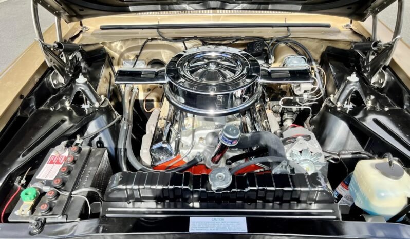 
								1967 Chevrolet Chevy II Nova SS V8 full									