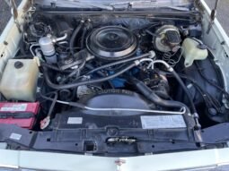 
										1981 Chevrolet El Camino Conquista full									