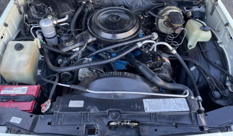 
								1981 Chevrolet El Camino Conquista full									