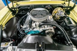 
										1967 Pontiac Firebird V8 full									