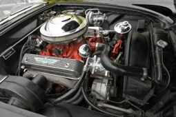 
										1955 Ford Thunderbird full									