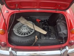 
										1966 Austin-Healey 3000 BJ8 full									