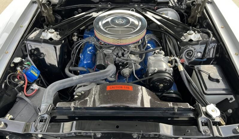 
								1971 Ford Mustang Sportsroof full									