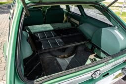 
										1973 AMC Hornet X Gucci full									