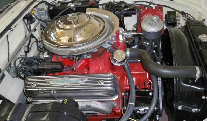 
								1956 Ford Thunderbird full									