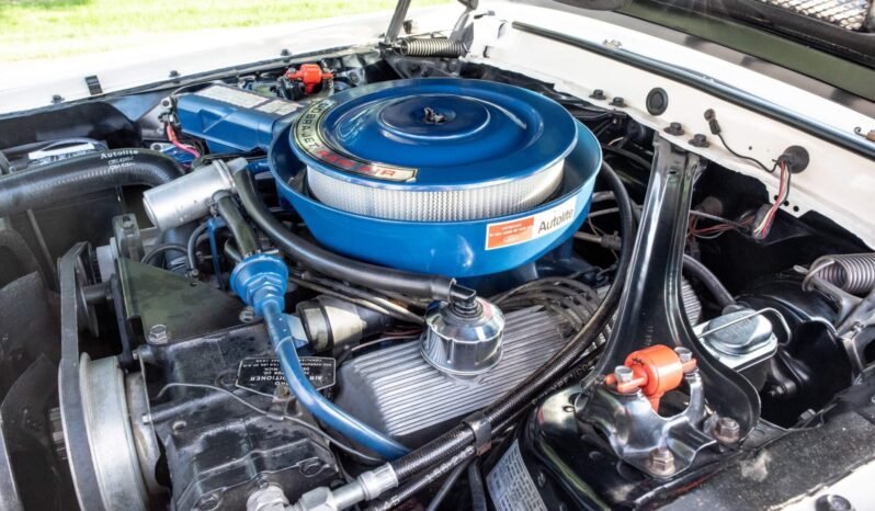 
								1969 Shelby Mustang GT500 full									