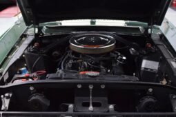
										1967 Shelby Mustang GT350 4-Speed full									