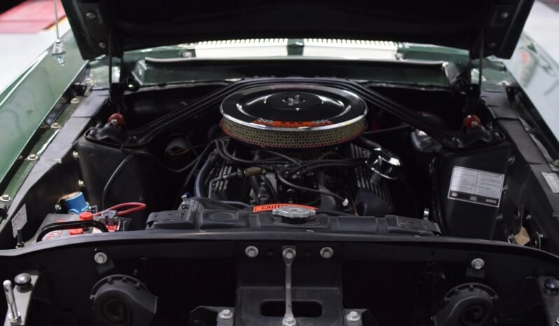 
								1967 Shelby Mustang GT350 4-Speed full									