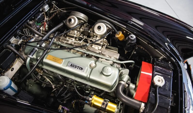 
								1966 Austin-Healey 3000 full									