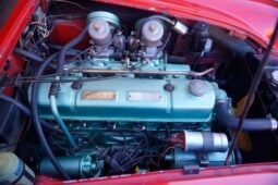 
										1965 Austin Healey 3000 BJ8 Mk III full									