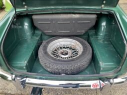 
										1964 Triumph TR4 full									