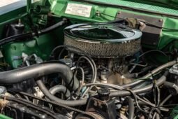 
										1973 AMC Hornet X Gucci full									