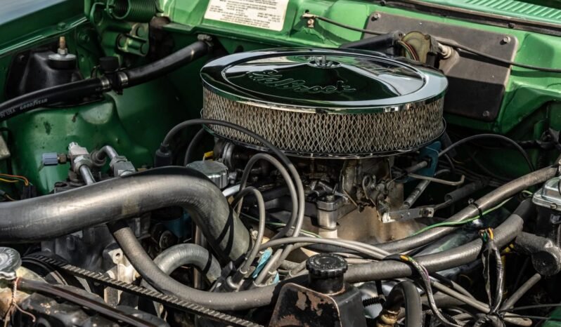 
								1973 AMC Hornet X Gucci full									