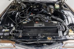 
										1976 Cadillac Castilian Station Wagon full									