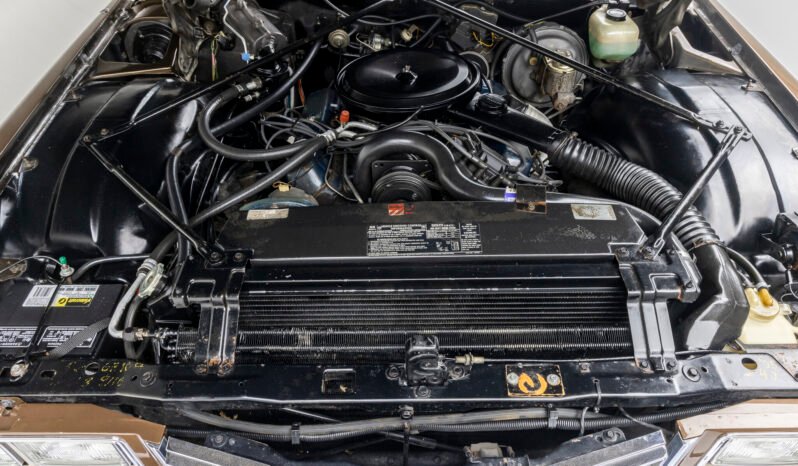 
								1976 Cadillac Castilian Station Wagon full									