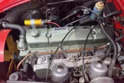 
										1966 Austin-Healey 3000 BJ8 full									