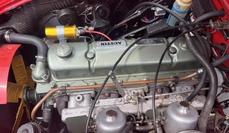 
								1966 Austin-Healey 3000 BJ8 full									