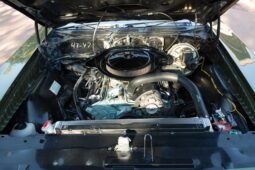 
										1970 Pontiac GTO Judge full									