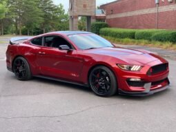 2018 Ford Mustang Shelby GT350R V8