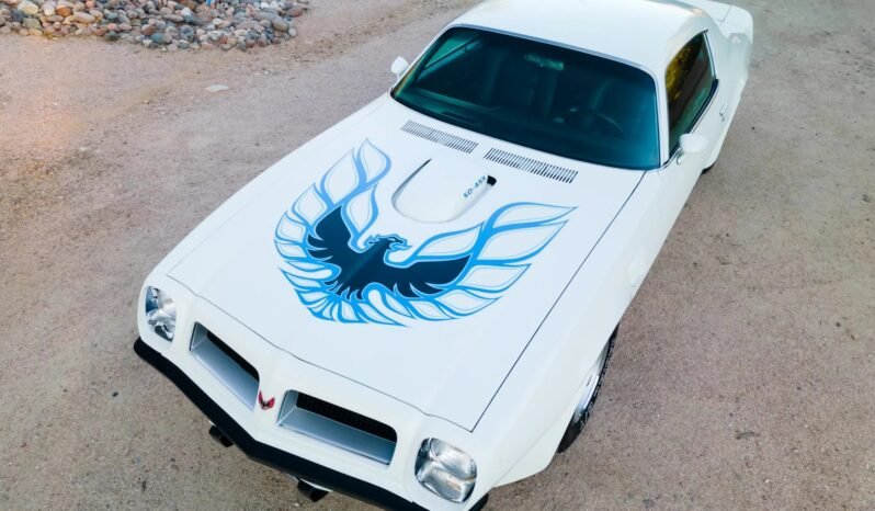 
								1974 Pontiac Firebird Trans AM SD-455 full									