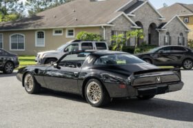 1981 Pontiac Firebird Trans Am LS3