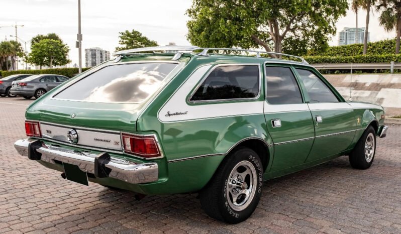 
								1973 AMC Hornet X Gucci full									