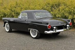 1955 Ford Thunderbird