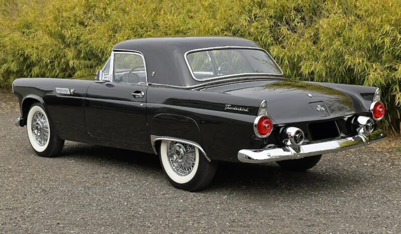 
								1955 Ford Thunderbird full									