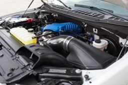 2020 Ford F-150 Shelby Super Snake V8