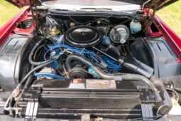 
										1975 Cadillac Eldorado Convertible full									