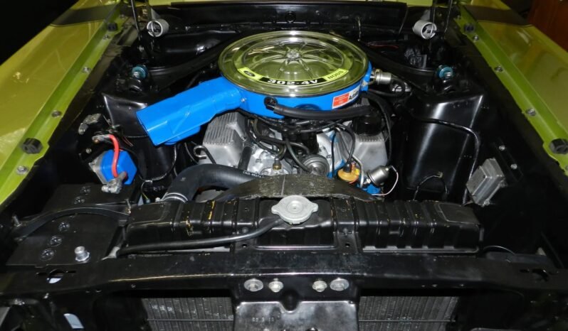 
								1970 Ford Mustang Boss 302 Medium Lime full									