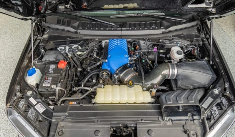 
								2020 Ford F–150 Shelby Super Snake full									