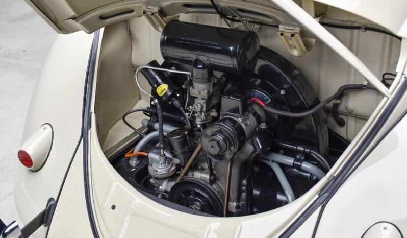 
								1951 Volkswagen Beetle Split-Window full									