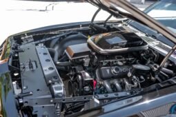 
										1979 Pontiac Firebird Trans AM 6-Speed full									