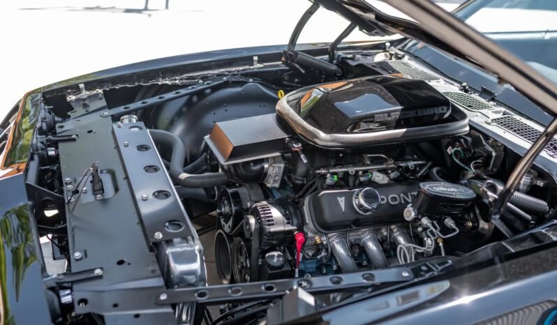 
								1979 Pontiac Firebird Trans AM 6-Speed full									