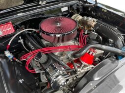 
										1964 Buick Skylark full									