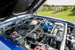 
										1967 Shelby Mustang GT350 V8 full									