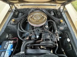 
										1967 Ford Mustang C-code Fastback full									