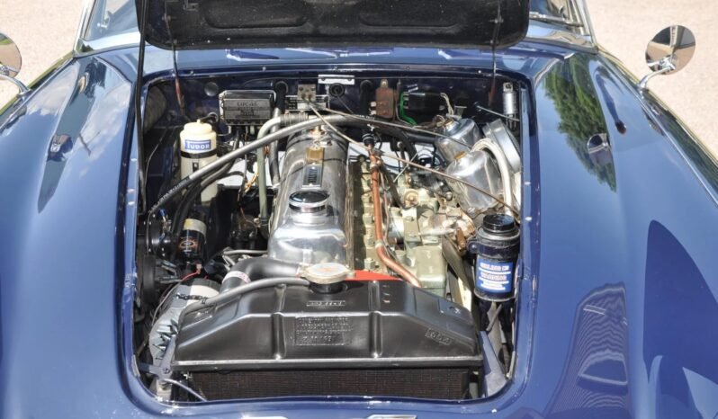 
								1965 Austin-Healey 3000 BJ8 Mk III full									