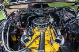 
										1956 Ford F-100 Black full									