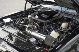 
										1981 Pontiac Firebird Trans Am LS3 full									