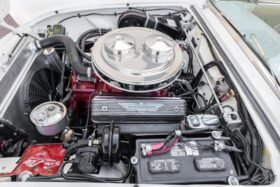 1957 Ford Thunderbird White