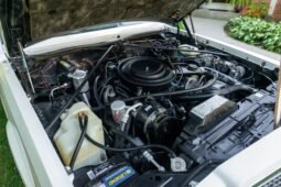 
										1983 Buick Riviera Convertible full									