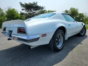 1970 Pontiac Firebird Trans Am L74 V8